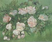Still life:Pink Roses (nn04) Vincent Van Gogh